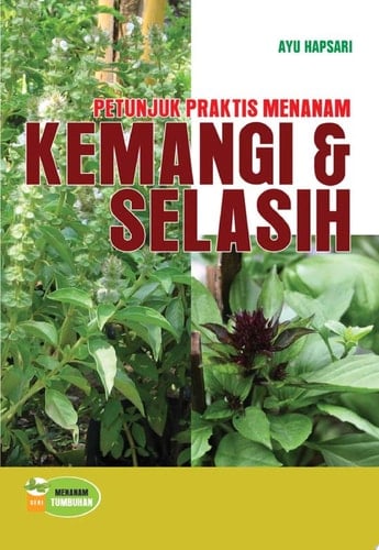 Petunjuk Praktis Menanam Kemangi dan Selasih