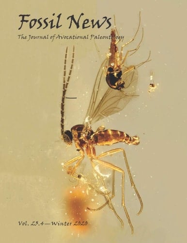 Fossil News: The Journal of Avocational Paleontology: Vol. 23.4 -- Winter 2020