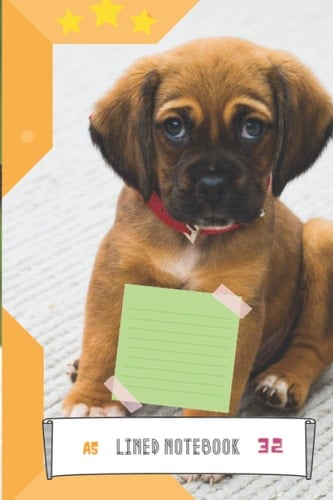 notebook lined: lined