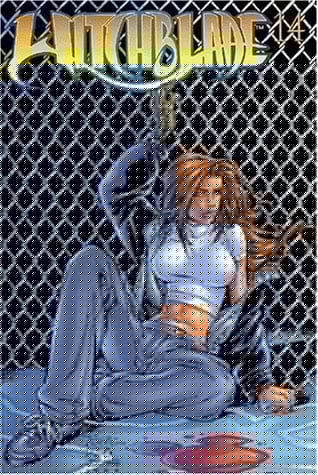 Witchblade. Volume 14