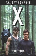 X Young Adult Gay Romance Novel