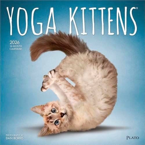 Yoga Kittens 2026 Square Plato