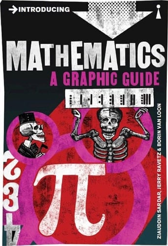 Introducing Mathematics A Graphic Guide