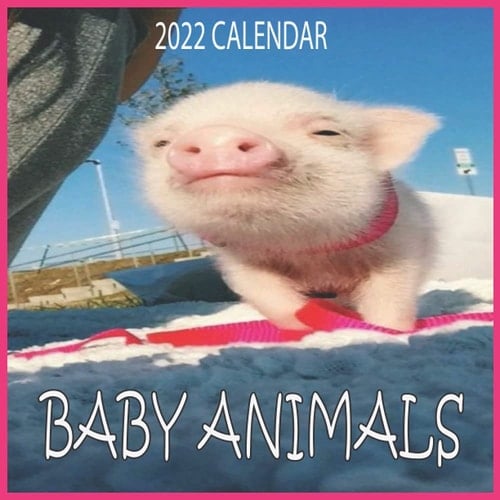 BABY ANIMALS CALENDAR 2022: 12 Months Calendar 8.5x 8.5