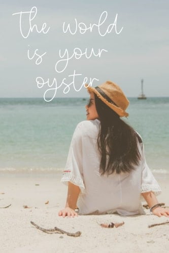 World is your Oyster Travel Journal