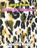 Large Print Color by Number Coloring Book Beautiful Kids Coloring Books(Large Print Birds, Flowers, Animals and Pretty Patterns)