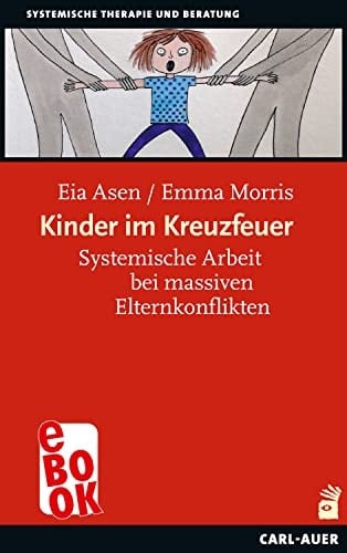 Kinder im Kreuzfeuer systemische Arbeit bei massiven Elternkonflikten