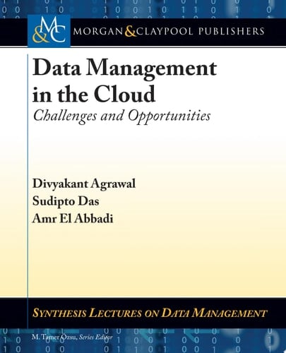 Data Management in the Cloud Challenges and Opportunities