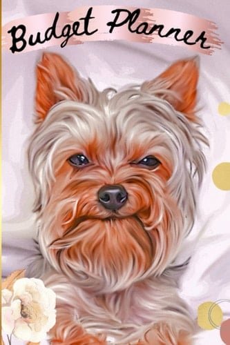 Budget Planner: Monthly and weekly Financial Organizer