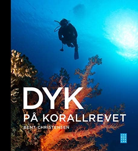 Dyk på korallrevet revets ekologi