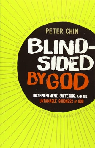 Blindsided by God Disappointment, Suffering, and the Untamable Goodness of God