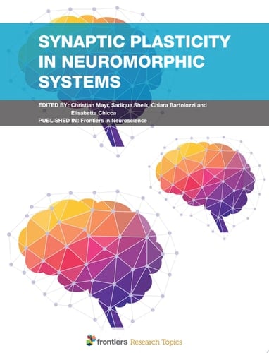 Synaptic Plasticity for Neuromorphic Systems