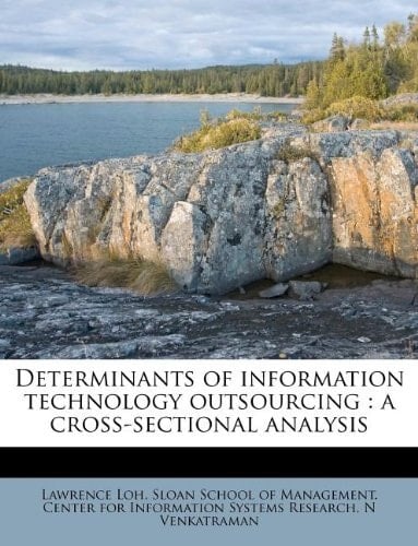 Determinants of information technology outsourcing: a cross-sectional analysis
