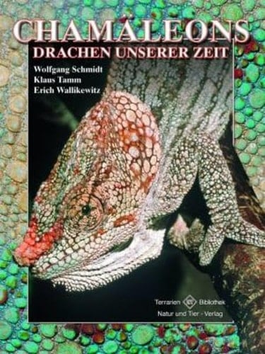 Chamäleons Drachen unserer Zeit