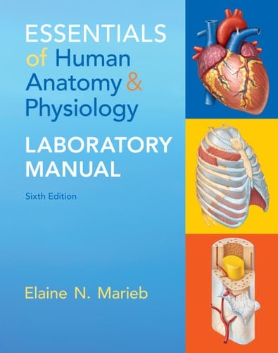 Essentials of Human Anatomy & Physiology Laboratory Manual
