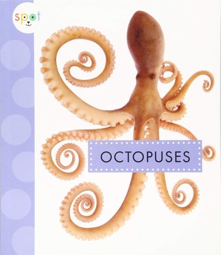 Octopuses