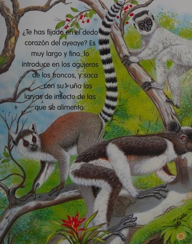 Animales del mundo no 1