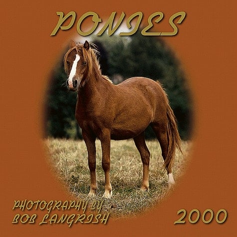 Ponies 2000