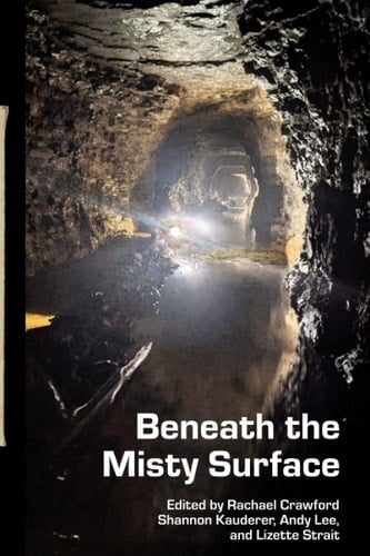 Beneath the Misty Surface