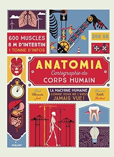Anatomia cartographie du corps humain