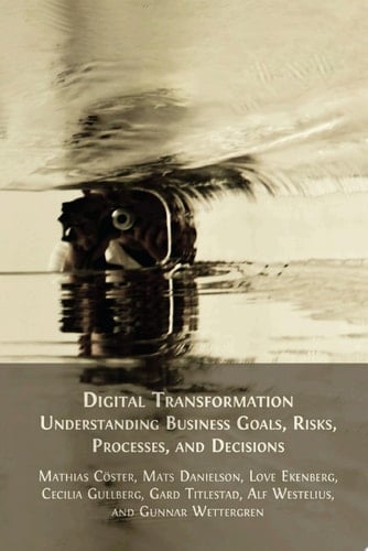 Digital Transformation Understanding Business Goals, Risks, Processes, and Decisions