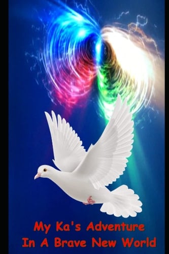 My Ka’s Adventure In A Brave New World