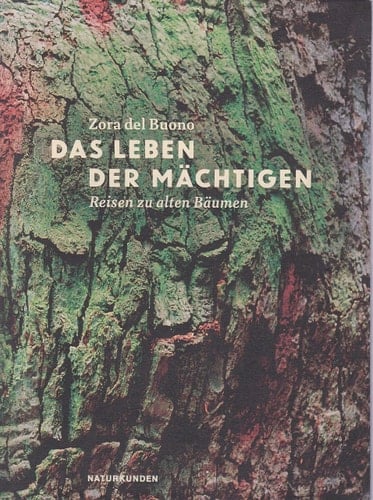 Das Leben der Mächtigen Reisen zu alten Bäumen