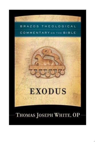 Exodus (Brazos Theological Commentary on the Bible)