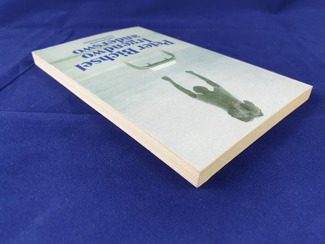 Irgendwo anderswo. Kolumnen 1980 - 1985.