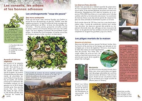 Invitez la nature dans votre jardin sur votre terrasse ou votre balcon