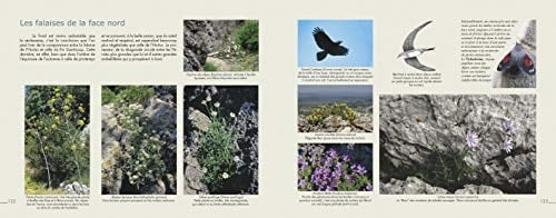 Éloge du Pic Saint-Loup