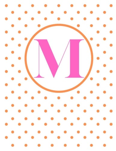 M Initial Notebook