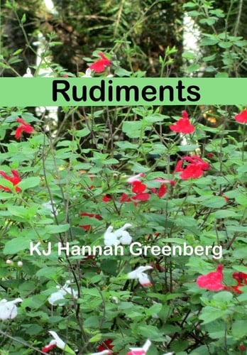 Rudiments