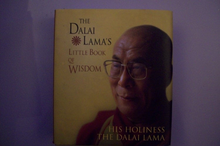 THE DALAI LAMA'S LITTLE BOOK OF WISDOM