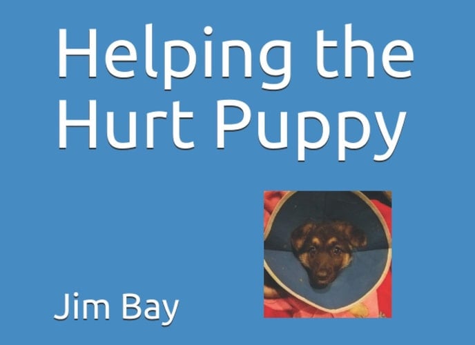 Helping the Hurt Puppy