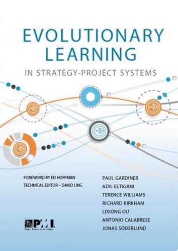 Evolutionary Learning in Strategy-Project Systems