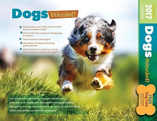 Dogs Unleashed: 2017 Calendar