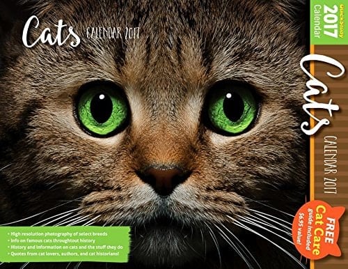 Cats: 2017 Calendar