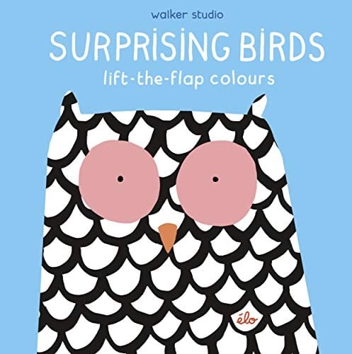 Surprising Birds Lift-the-flap Colours