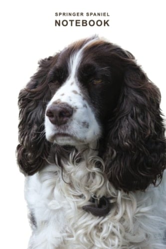 Springer Spaniel Notebook: Dog Notebook, Adorable Journal for Dog Lovers, ideal Composition Book Gift for Back to School or University.