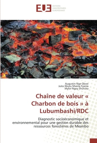 Chaîne de valeur « Charbon de bois » à Lubumbashi/RDC: Diagnostic socioéconomique et environnemental pour une gestion durable des ressources forestières de Miombo (French Edition)