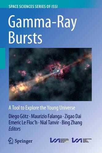 Gamma-Ray Bursts A Tool to Explore the Young Universe