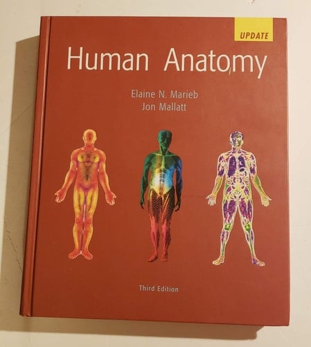 Human Anatomy