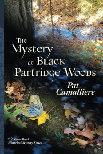 The Mystery at Black Partridge Woods