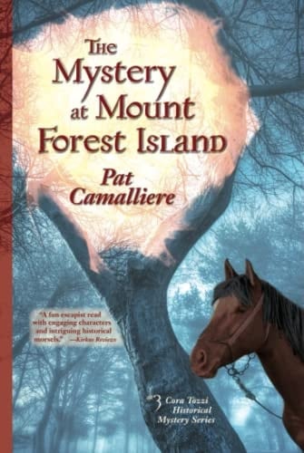 The Mystery at Mount Forest Island