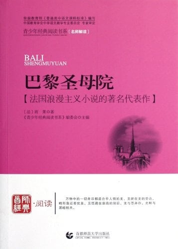 Notre Dame DE Paris (Chinese Edition)