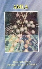 'Phyllanthus emblica' Linn. syn. 'Emblica officinalis' Gaertn. : amla : family : 'Euphorbiaceae'