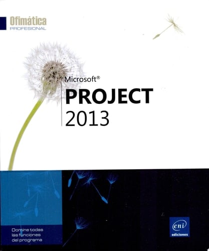 Project 2013