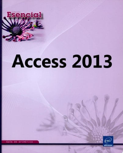 Access 2013