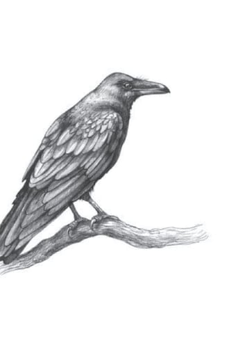 Witch Aesthetic Dot Matrix Notebook